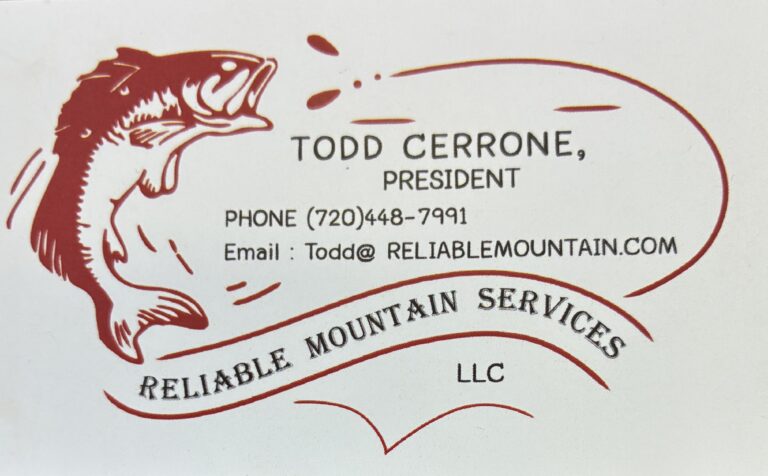 ReliableMountainServices 768x476