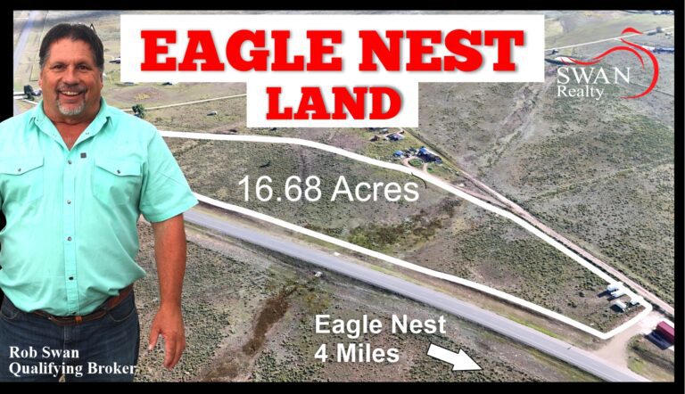 Youtube Thumbnail JPG 768x442