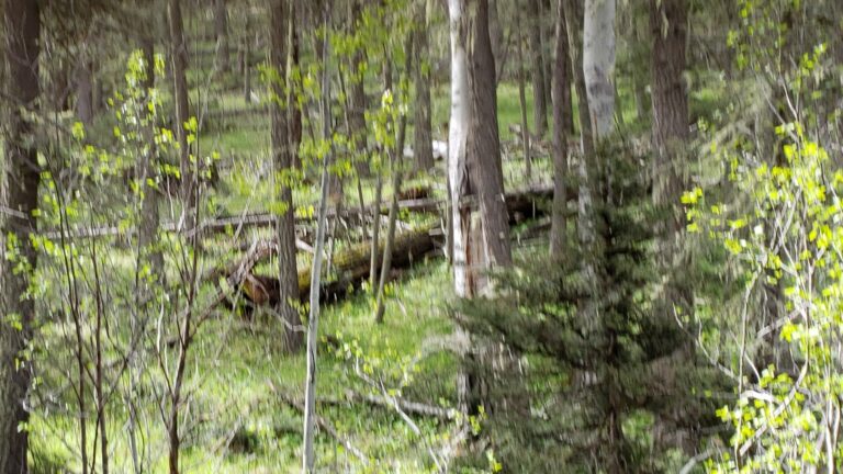 20230605 190758 768x432